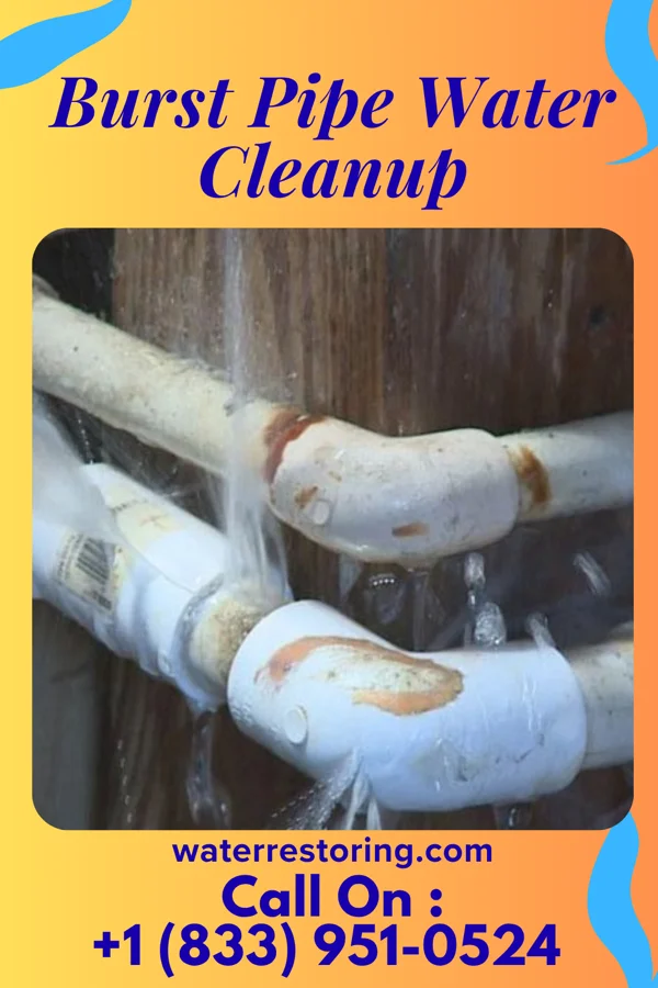 Burst Pipe Water Cleanup in Heritage Hills, NY