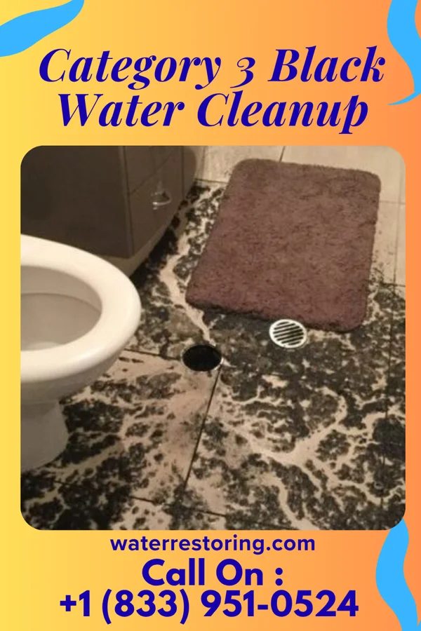 Category 3 Black Water Cleanup in Heritage Hills, NY