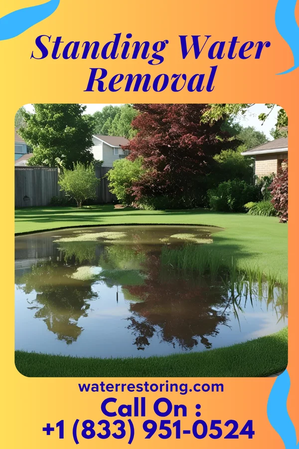 Standing Water Removal in Heritage Hills, NY